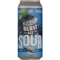 Connecticut Valley Brewing Blueberry Burst