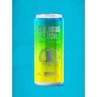 Burgeon Beer Company Carlsbad Crush