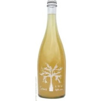 Revel Cider Soma
