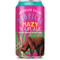 Anderson Valley Brewing Company Tropical Hazy Sour Ale