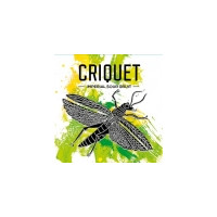 La Source Beer Co. Criquet (2023)