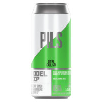 Buddelship Brauerei Pils (Citra & Callista)