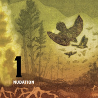 Speciation Artisan Ales Nudation