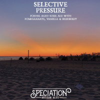 Speciation Artisan Ales Selective Pressure