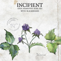 Speciation Artisan Ales Incipient With Blackberries (2019)