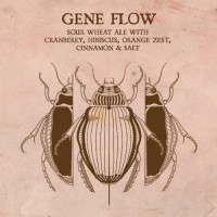 Speciation Artisan Ales Gene Flow