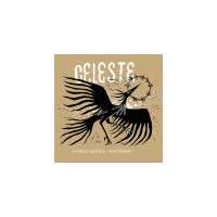 La Source Beer Co. Celeste