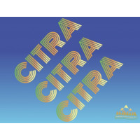 Arvon Brewing Co. Citra Citra Citra