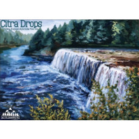 Arvon Brewing Co. Citra Drops