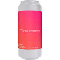 Other Half Brewing Small Citra Everything (Non-DDH)
