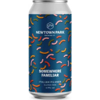 Newtown Park Somewhere Familiar