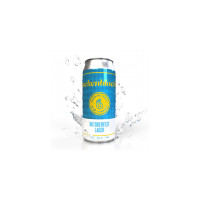 Working Draft Beer Company Stackenblochen