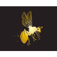 Forager Brewing Company Ants