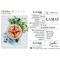 Ammonite Vinifera II - Gamay