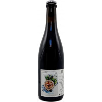 Ammonite Vinifera VII - Syrah