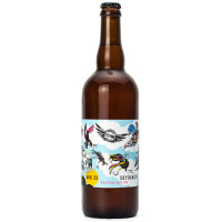 Pivovar Čestmír APA 11° Skydancer