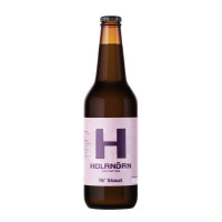 Holanďan Stout 16°