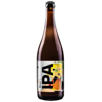 Královéhradecký Měšťanský Pivovar Klenot Brut IPA 13°