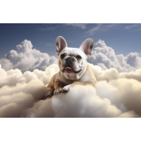 Brasserie Popihn DIPA DDH - Nelson Sauvin T90 & Cryo Billie's