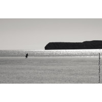 Brasserie Popihn DIPA DDH - Nelson Sauvin/Idaho 7