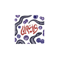 Brasserie La Jungle Liasis - Wild Export Porter Whiskey BA Blue & Blackberries