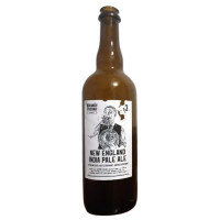 Beranův Pivovar New England IPA 13°
