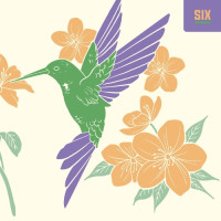 Counterpart Brewing Canvas Six