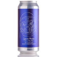 BKS Artisan Ales Space Nelson