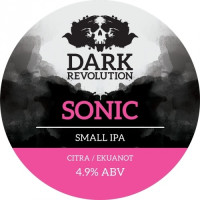 Dark Revolution Sonic
