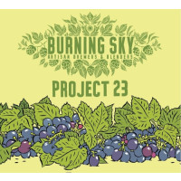 Burning Sky Brewery Project 23