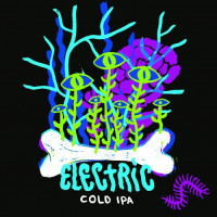 La Source Beer Co. Electric