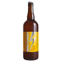 Bad Flash Craft Brewery Lost Chance