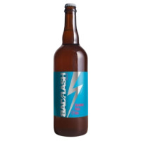 Bad Flash Craft Brewery Bikini Ale