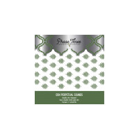 Phase Three Brewing Company DDH Perpetual Sounds