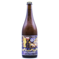 Four Elements Brewery Connection NEIPA 14° Talus
