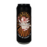 Rodinný pivovar Vik Flying Baby Micro IPA