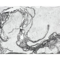 Barreled Souls Brewing Company Big Bang - Woodford Reserve Bourbon