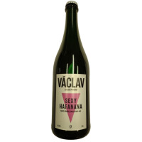 Pivo Václav Sexy Hafanana