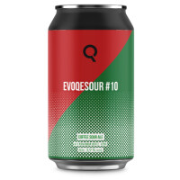 Evoqe Brewing Evoqesour #10