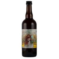 Pivovar Mazák 11 Babí Léto