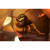 Chad Beer Trapped In Time