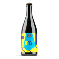 Pioneer Beer UFO 12 - Intergalactic Session IPA