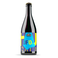 Pioneer Beer UFO 14 - Intergalactic IPA