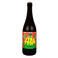 Pioneer Beer Strategie