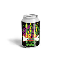 La Source Beer Co. Futurephobic