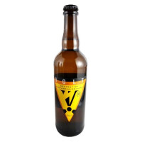 Pivovar Volt Reaktor 13°