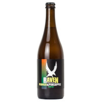 Pivovar Raven Pineapple & Mango