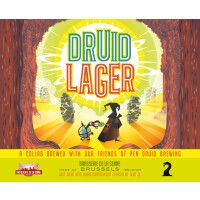 Brasserie de la Senne Druid Lager