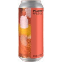 Boundary Brewing Pillows