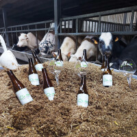 Brouwerij Strubbe Classe Blond Karakter Bier